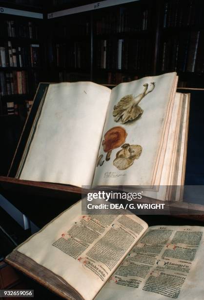 Old books, Herbarium, Kew Gardens, London, England, United Kingdom.