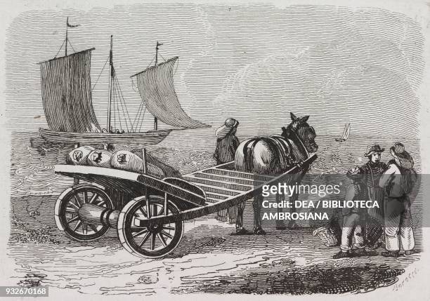 Cart for transporting herring in Yarmouth, Isle of Wight, United Kingdom, engraving from L'album, giornale letterario e di belle arti, March 31 Year...