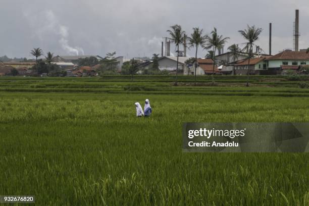 Two students cross the rice fields with the background of a textile factory that caused air pollution in Sukamaju Village, Majalaya, Bandung, West...