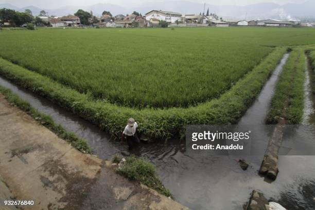 Resident crosses a rice-water stream filled with textile waste in Sukamaju Village, Majalaya, Bandung, West Java, Indonesia, on March 15, 2018. About...