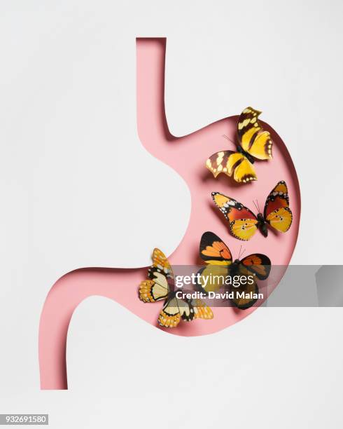 4 butterflies within a cutout stomach shape. - animal digestive system stockfoto's en -beelden