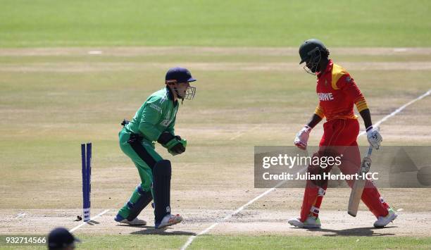 Nial O'Brien of Ireland celebates the wicket of Solomon Mire of Zimbabwe during The ICC Cricket World Cup Qualifier between Ireland and Zimbabwe at...