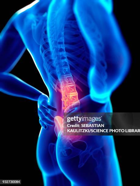 ilustraciones, imágenes clip art, dibujos animados e iconos de stock de human skeletal system, illustration - sección del medio