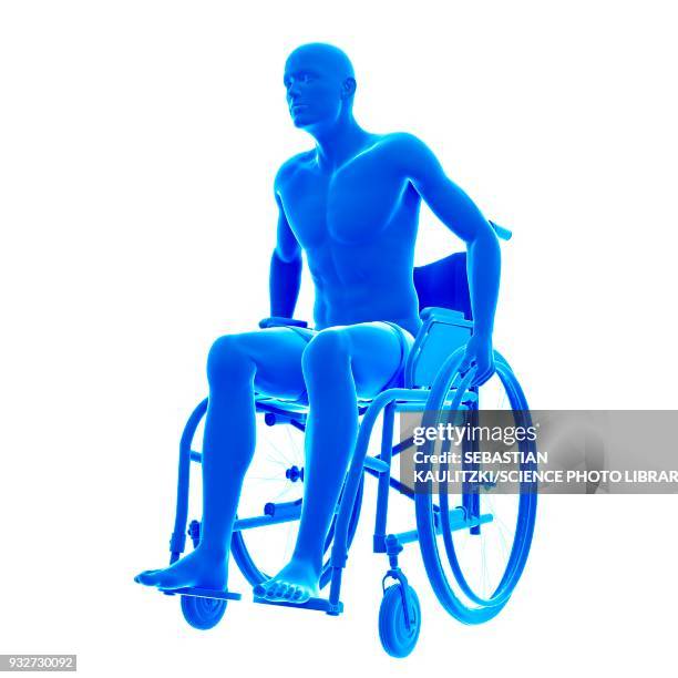 ilustraciones, imágenes clip art, dibujos animados e iconos de stock de person in wheelchair, illustration - paralysis