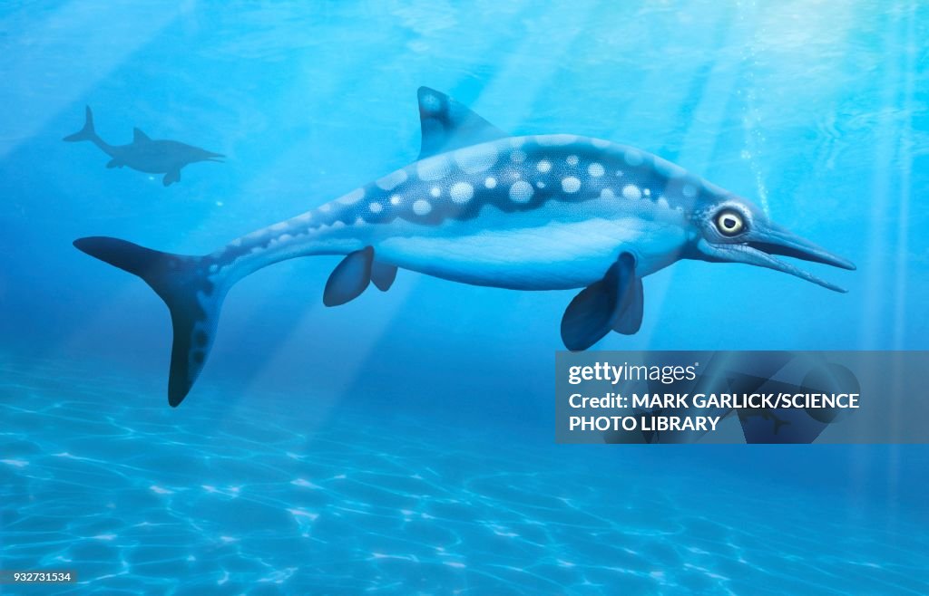Ophthalmosaurus, illustration