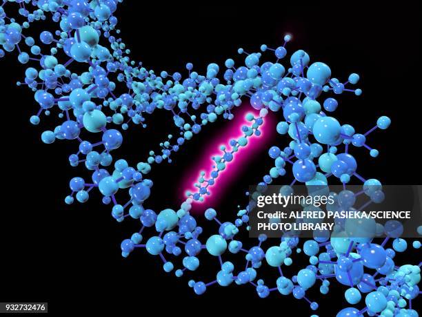 stockillustraties, clipart, cartoons en iconen met point mutation, illustration - genetische mutatie