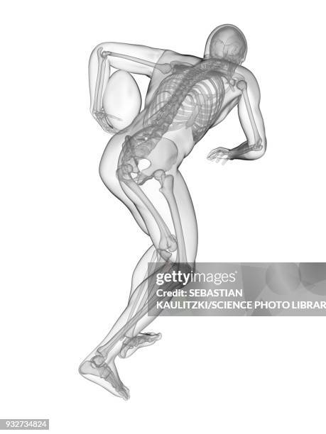 Gyratory System Rugby 111 3d Rugby Stock Photos, High-Res Pictures, and Images - Getty Images