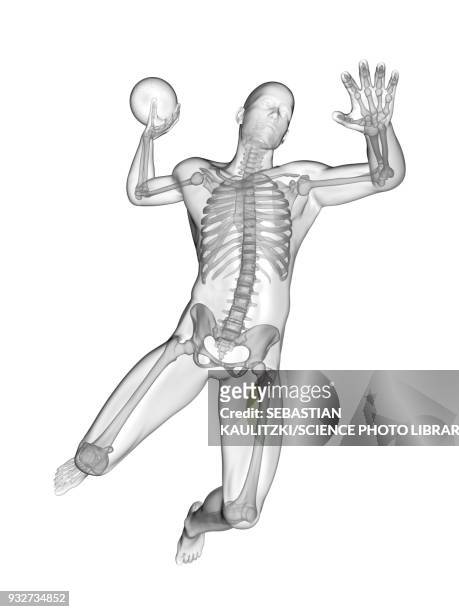 handball players skeletal system, illustration - foule stock illustrations