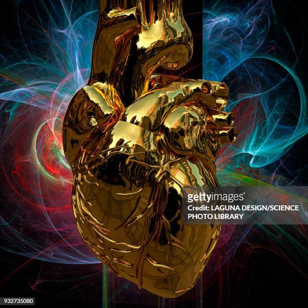 ilustraciones, imágenes clip art, dibujos animados e iconos de stock de heart and coronary arteries, illustration - vena cava vena humana