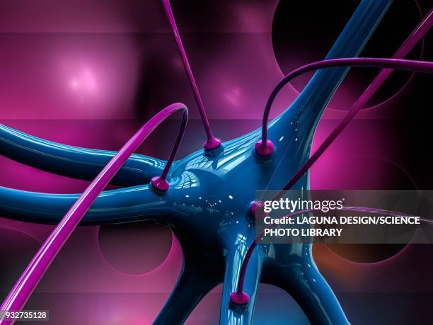 nerve cell and synapses, illustration - synapsenspalt stock-grafiken, -clipart, -cartoons und -symbole
