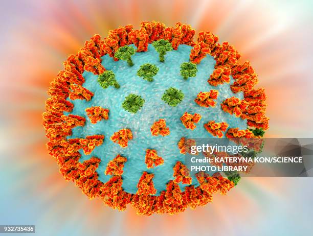 influenza virus h3n2, illustration - h3n2 stock-grafiken, -clipart, -cartoons und -symbole