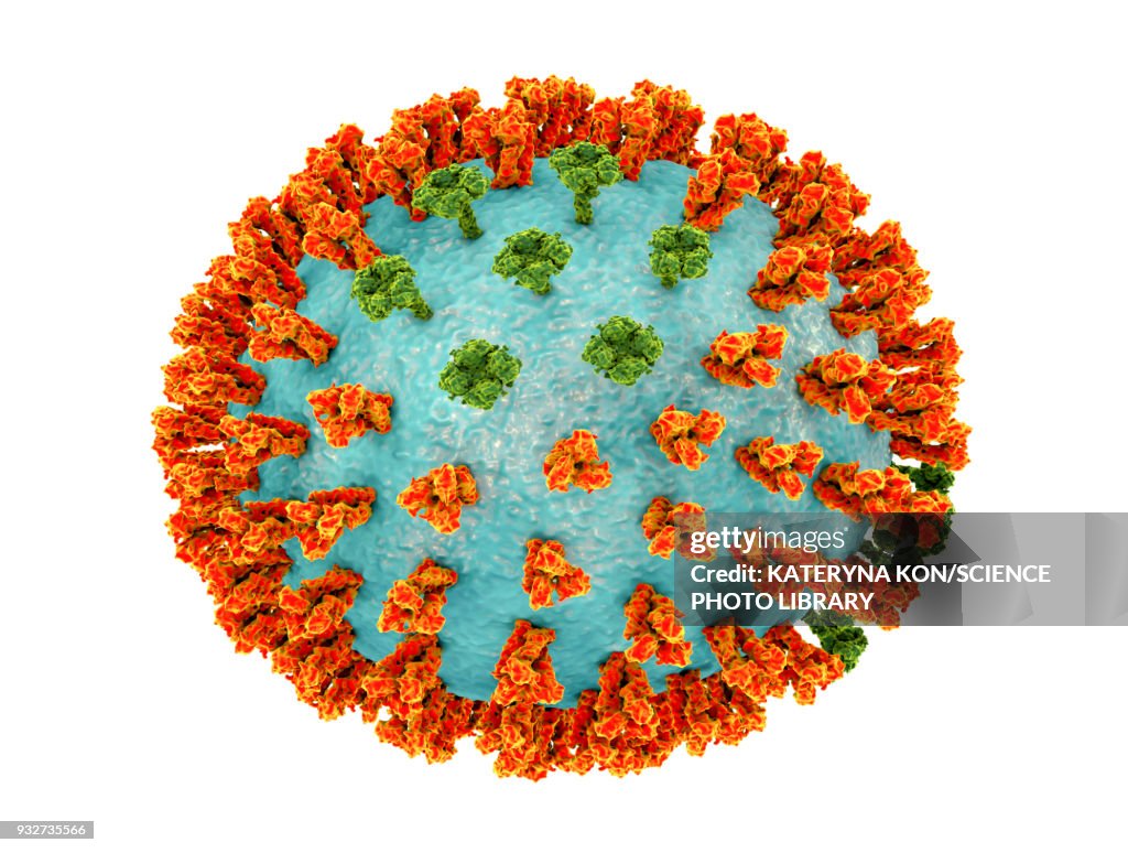 Influenza virus H3N2, illustration