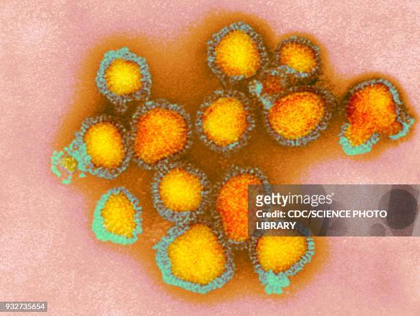 h3n2 influenza virus particles, tem - rna virus stockfoto's en -beelden