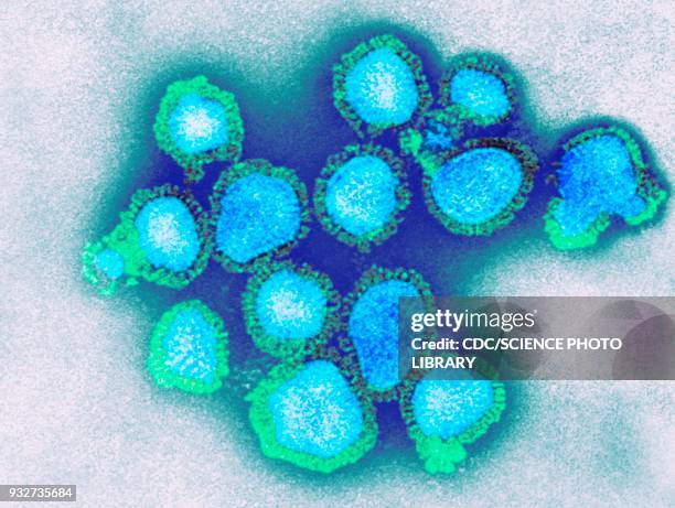 h3n2 influenza virus particles, tem - flu virus stock-fotos und bilder