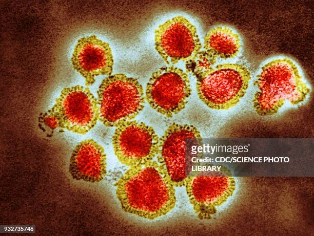 h3n2 influenza virus particles, tem - swine influenza virus - fotografias e filmes do acervo