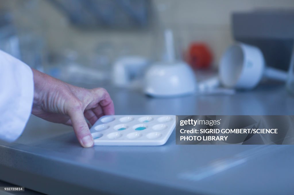 Chemist working in laboratory