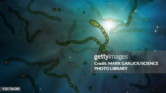 Microbes in space, illustration Microbes in space, illustration