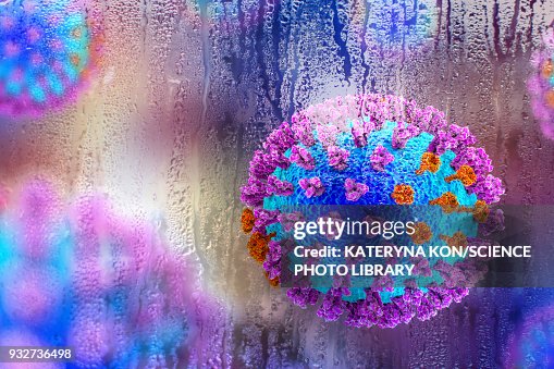 Flu viruses, conceptual illustration Flu viruses, conceptual illustration