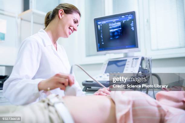 Echography Graphics 187 Echography Stock Photos, High-Res Pictures, and Images - Getty Images
