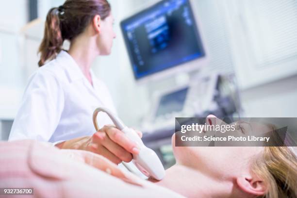 sonographer performing ultrasound on patient - ecografia foto e immagini stock