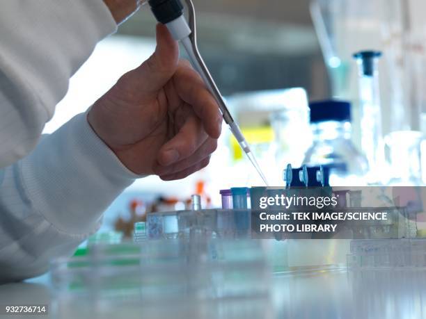 biochemical research - eppendorf tube stock pictures, royalty-free photos & images