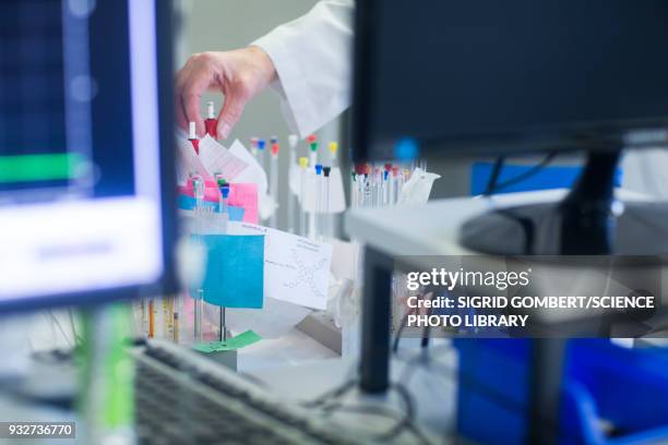 chemist with nmr spectroscopy phials - sigrid gombert stock pictures, royalty-free photos & images