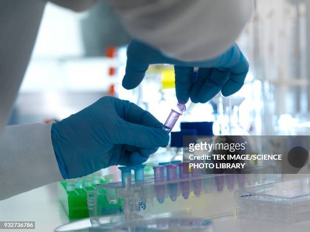 biomedical research - eppendorf tube stock pictures, royalty-free photos & images
