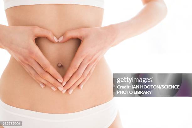 woman with hands in heart shape on tummy - human abdomen ストックフォトと画像