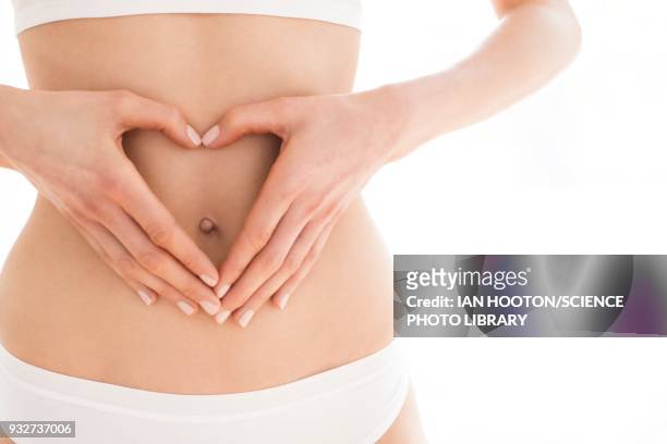 woman with hands in heart shape on tummy - stomach stock pictures, royalty-free photos & images