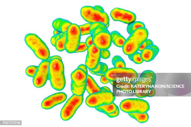 prevotella copri bacteria, illustration - anaerobic stock-grafiken, -clipart, -cartoons und -symbole