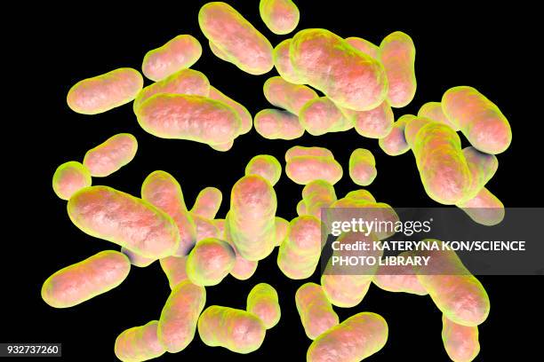 stockillustraties, clipart, cartoons en iconen met prevotella bacteria, illustration - prevotella melaninogenica