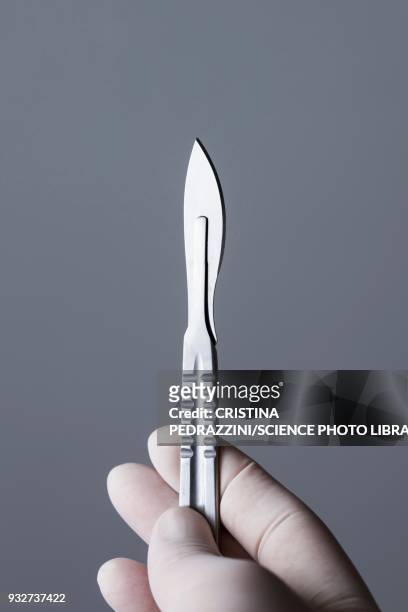 person holding scalpel - scalpel stock pictures, royalty-free photos & images