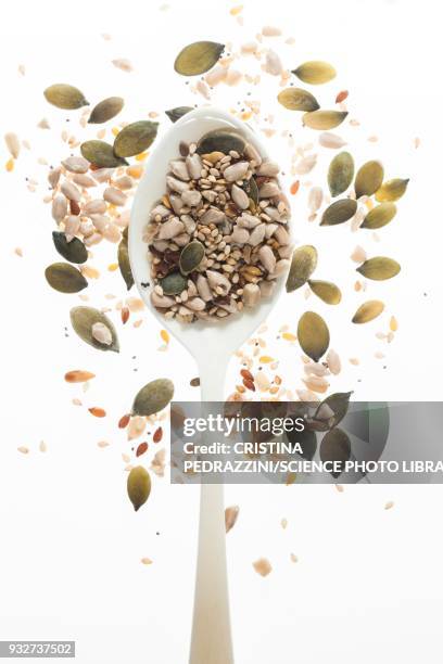 mixed seeds on spoon - sunflower seed stock pictures, royalty-free photos & images