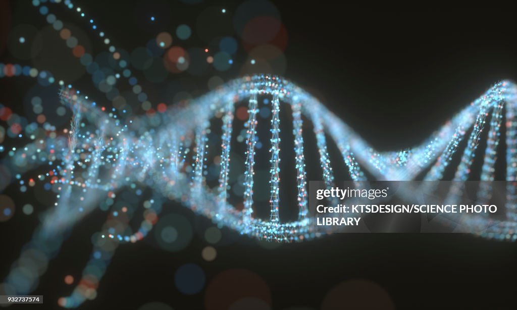 DNA structure, illustration