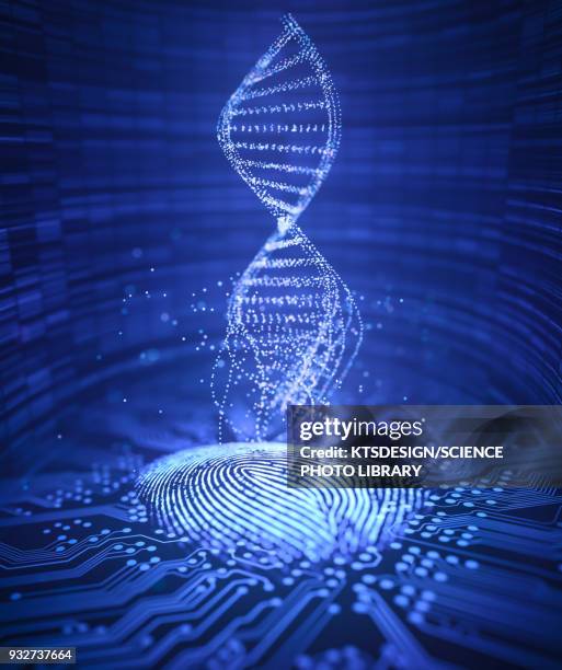 dna structure, illustration - circuit board close up stock illustrations