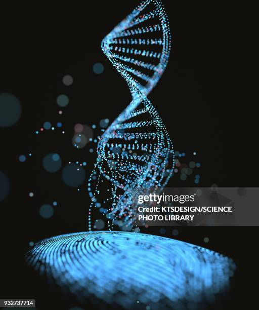 Genetics Pattern Photos and Premium High Res Pictures - Getty Images