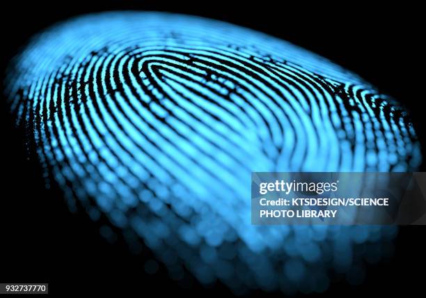 fingerprint, illustration - fingerprinting stock-grafiken, -clipart, -cartoons und -symbole