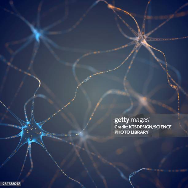 abstract connecting lines, illustration - nervenzelle stock-grafiken, -clipart, -cartoons und -symbole