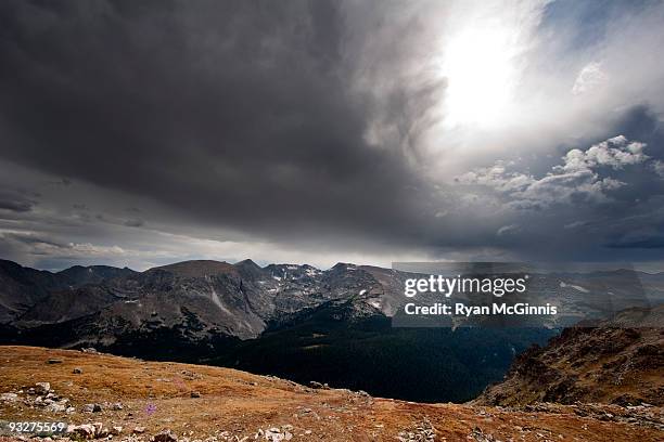 rocky mountain national park - trail ridge road colorado stock-fotos und bilder