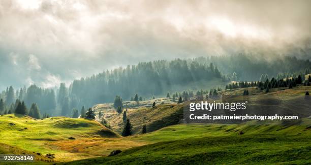 green, lush and misty scenery on alp flix in prc ela, graubünden - horizontal stock-fotos und bilder