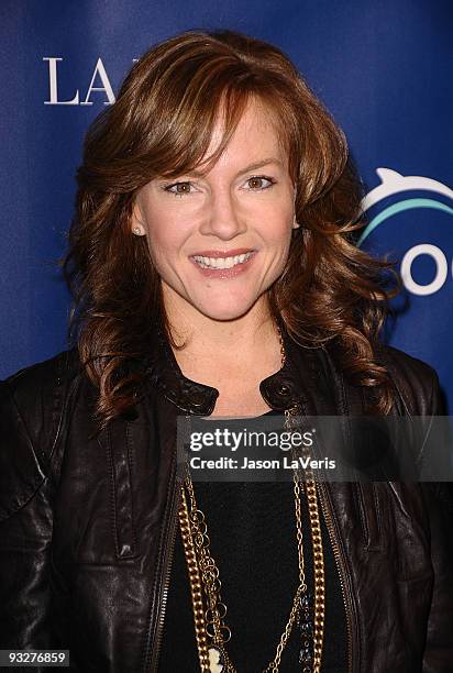 Actress Rachael Harris attends Oceana's 2009 Partners Award gala on November 20, 2009 in Los Angeles, California.