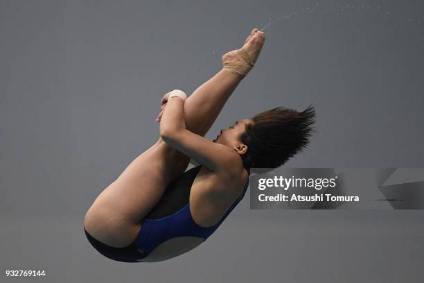 Kuk Hyang Kim of North Korea competes in the Women's 10m Platform final during day two of the FINA Diving World Series Fuji at Shizuoka Prefectural...