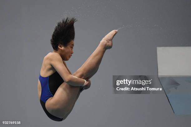 Kuk Hyang Kim of North Korea competes in the Women's 10m Platform final during day two of the FINA Diving World Series Fuji at Shizuoka Prefectural...