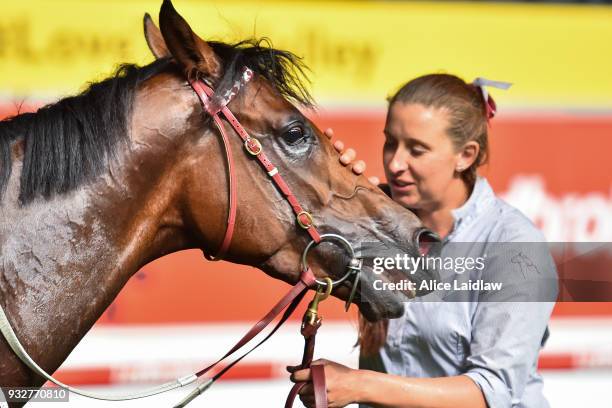 Cliff's Edge after winning the Hacer Group Alister Clark Stakes at Moonee Valley Racecourse on March 16, 2018 in Moonee Ponds, Australia.