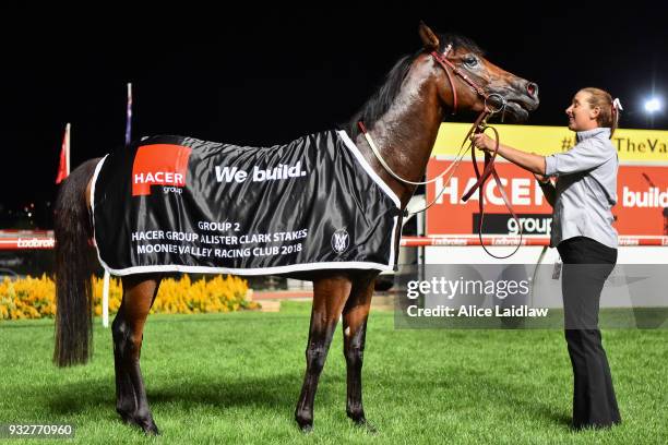 Cliff's Edge after winning the Hacer Group Alister Clark Stakes at Moonee Valley Racecourse on March 16, 2018 in Moonee Ponds, Australia.