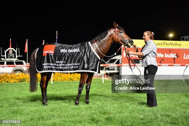 Cliff's Edge after winning the Hacer Group Alister Clark Stakes at Moonee Valley Racecourse on March 16, 2018 in Moonee Ponds, Australia.