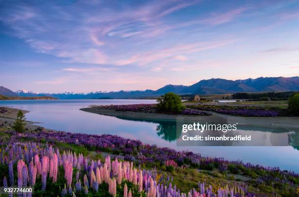 lake tekapo at dawn, new zealand south island - church of the good shepherd tekapo stock pictures, royalty-free photos & images