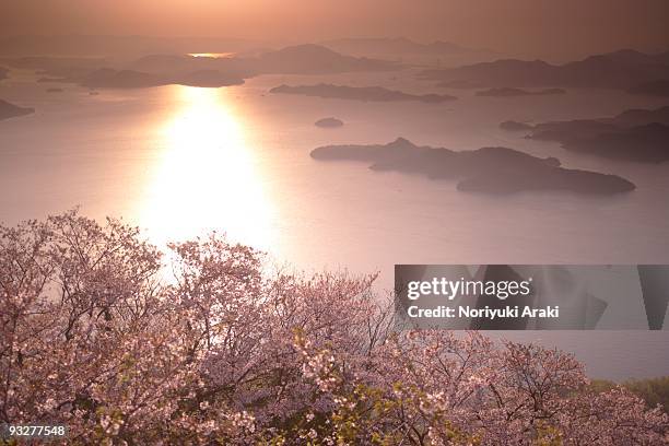 scenery of japan - cherry tree stock pictures, royalty-free photos & images