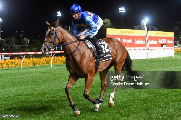 Bemboka Queen ridden by Jye McNeil heads to the barrier before the Hacer Group Alister Clark Stakes at Moonee Valley Racecourse on March 16, 2018 in...
