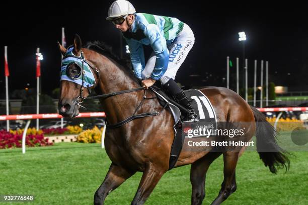 Arkamun ridden by Michael Dee heads to the barrier before the Hacer Group Alister Clark Stakes at Moonee Valley Racecourse on March 16, 2018 in...